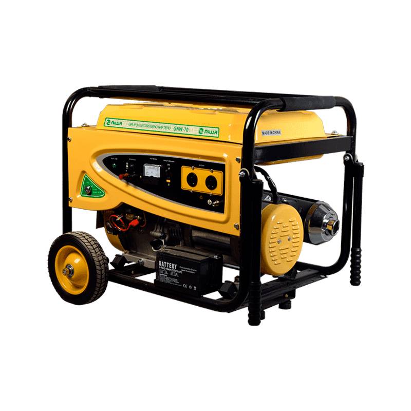 Generador Gnw-70-Er