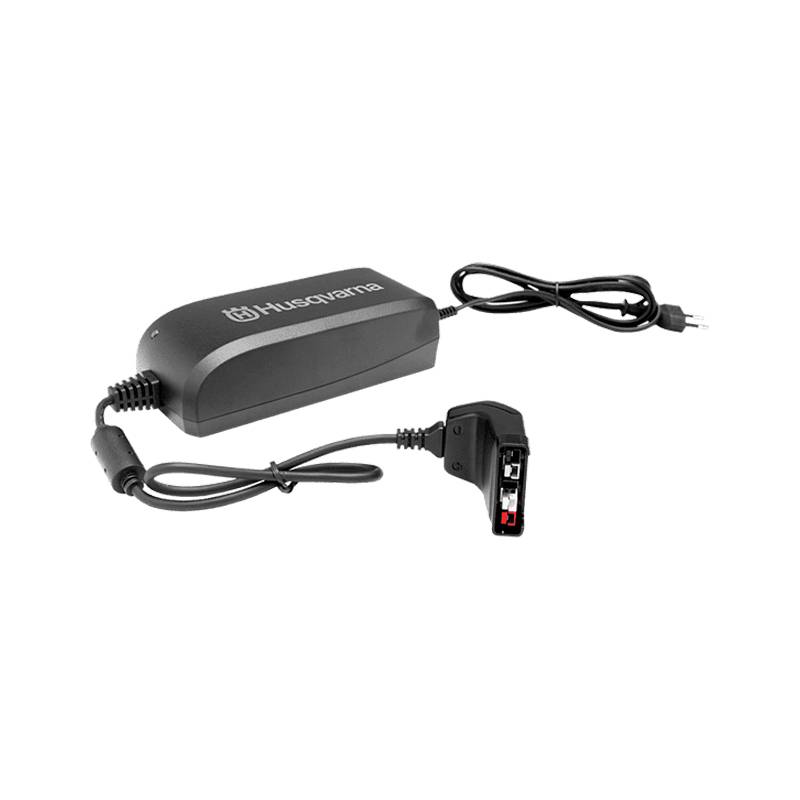 Cargador De Batería 100W 220V